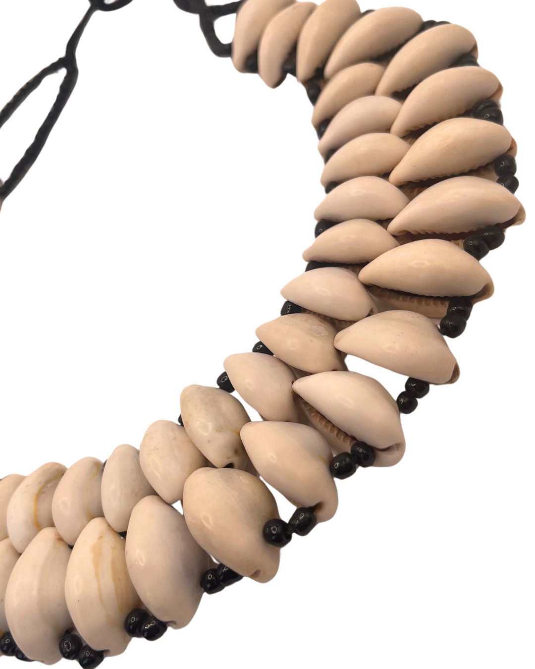 Two Row Authentic Handmade Cowrie Shell Necklace