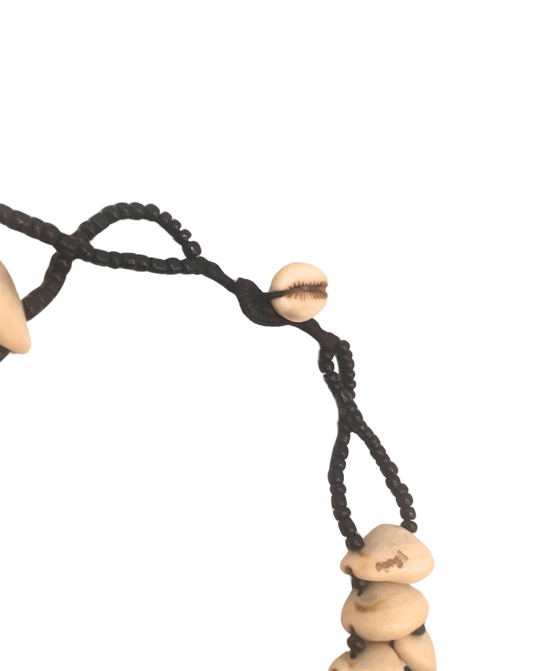 Authentic Cowrie Shell Drop Necklace